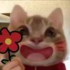 胆小鬼