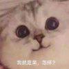 阿酱