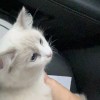 Like me better.的头像-七玩网