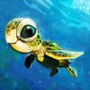 小海龟大王