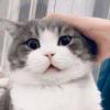 安定