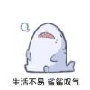 耗子44391