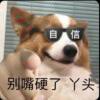 路口♞