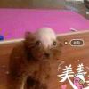 匿名的相声