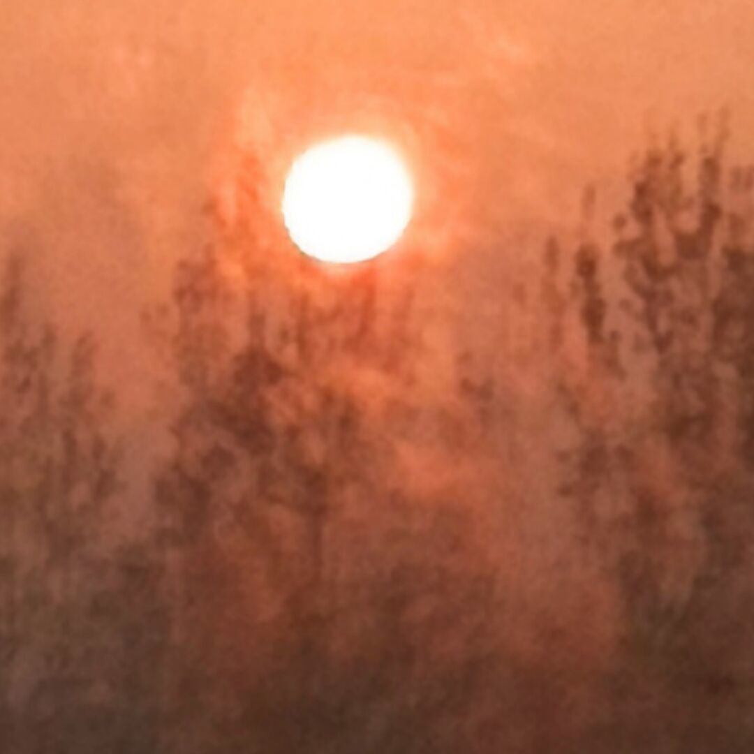 病院拍太阳