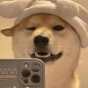 凌云_963
