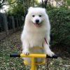 啊~！