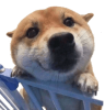 BZZB
