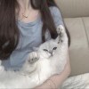 Ning_567