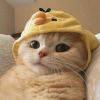云亿＿