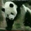 帝子降兮的头像-助眠音声网