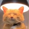 。_303