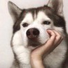 你的天使呐