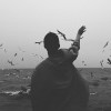 user33177908的头像-iPA资源站