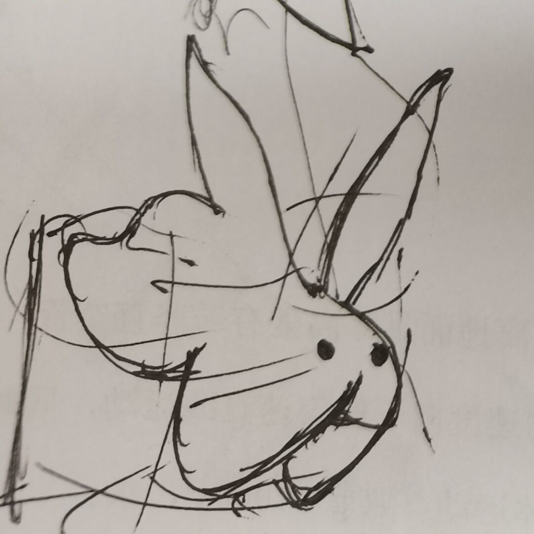 家乐福海盗（开学