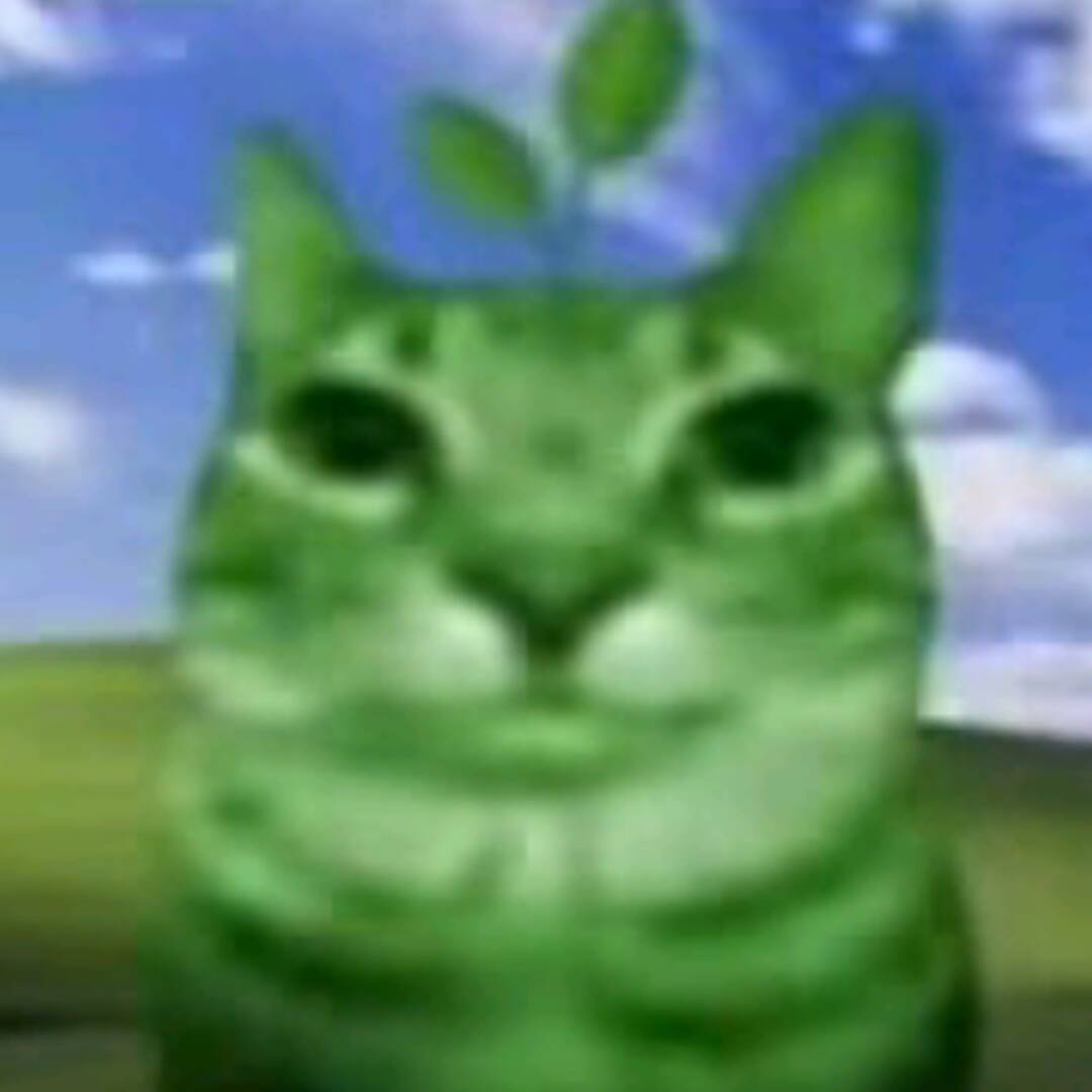 ._608