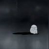 东道主_198