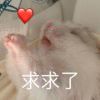 无福于卿的头像-LSPosed中文网