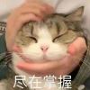 〆做个、橘◎猫的头像-软件百科