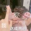 源罪_705