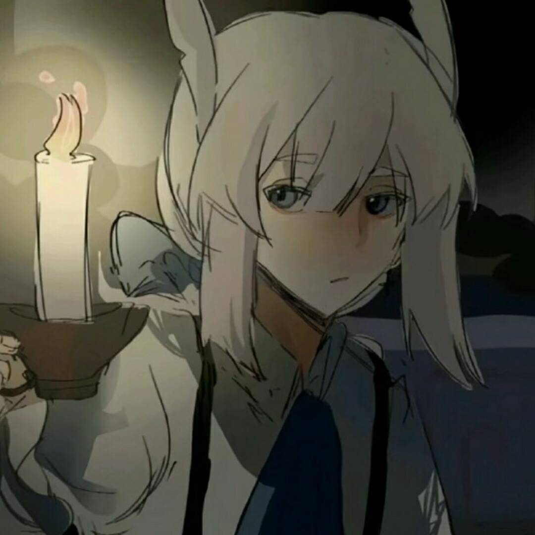 (✧∇✧)