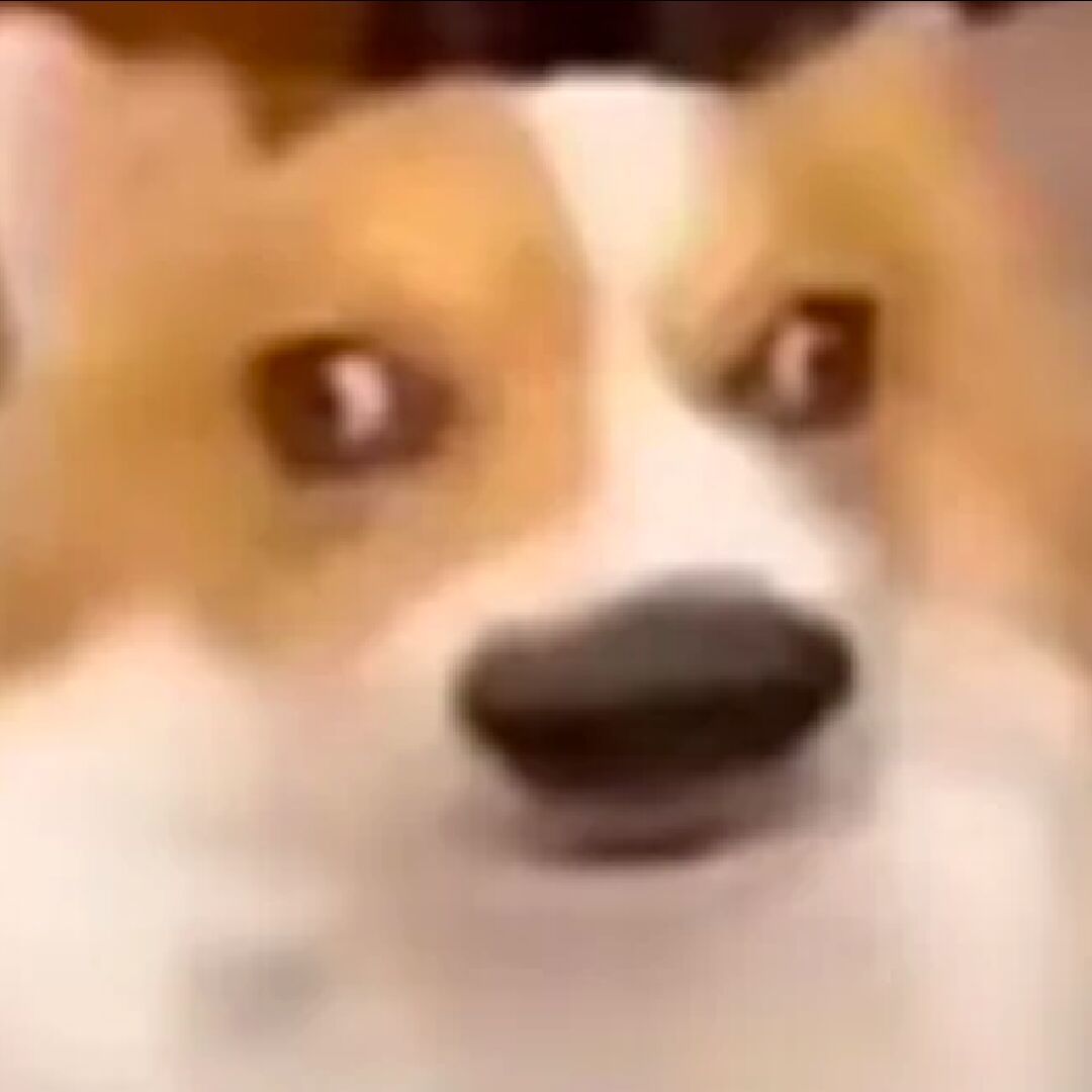 扬帆远航zzh