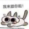 有野爹吗