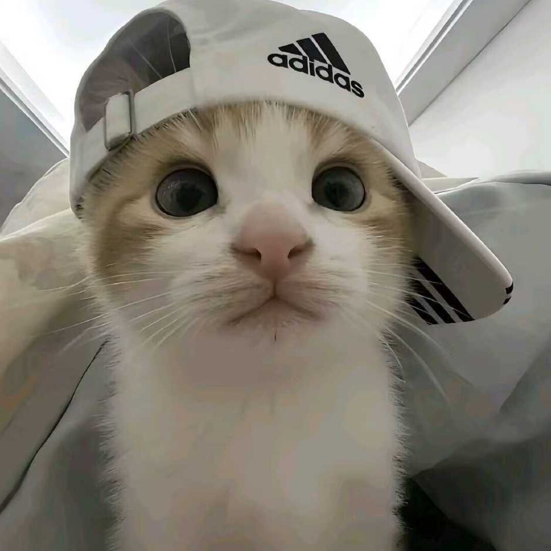虫三