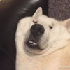 对方正在输入_581