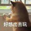 虔诚