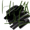 PTZ
