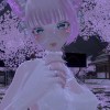 Spin_Alice