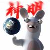 地瓜施闰