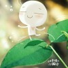 游龙＊归海