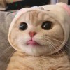 终难再遇了