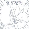 grassdidi的头像-魔酷网