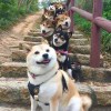 风暴之眼