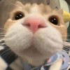 。_487