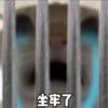 敕封天下