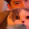 ㅤ月亮的猫