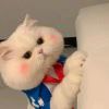 Panda_222