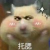 大猪蹄子的头像-七玩网