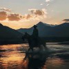 Wrysun_445