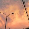 NEXUS_311