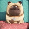 user75593275的头像-iPA资源站
