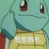 张。y