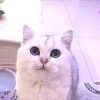 用户_1418