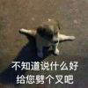 对不起喵君真