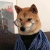 有为青年