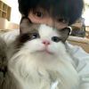 落棋惊孤鸿